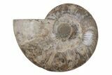 Cut & Polished Ammonite Fossil (Half) - Madagascar #212906-1